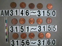 藏品(美國1分硬幣)的圖片